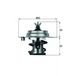 MAHLE Thermostat, liquide de refroidissement TX788DS