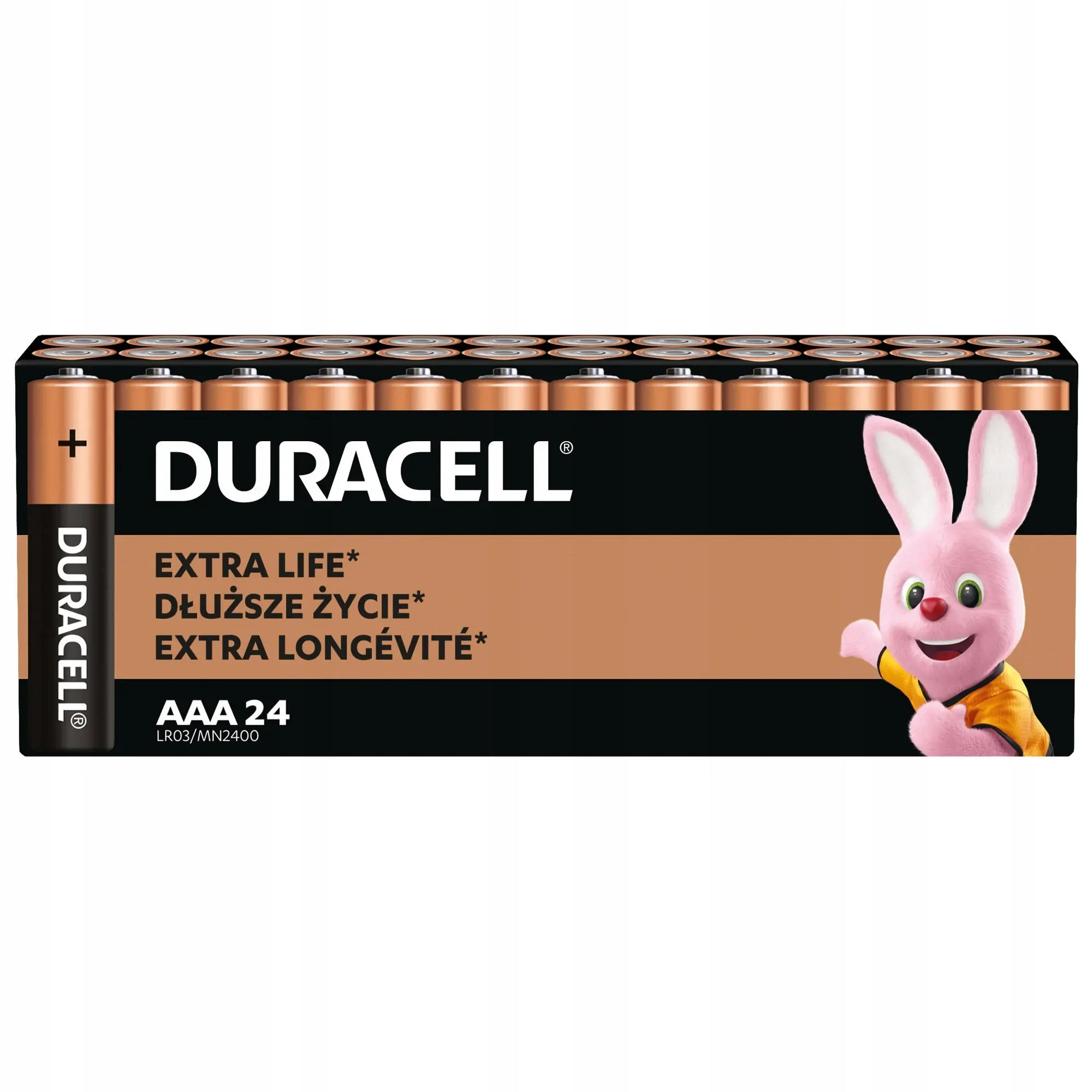 24 stuks Duracell Batterijen Aaa