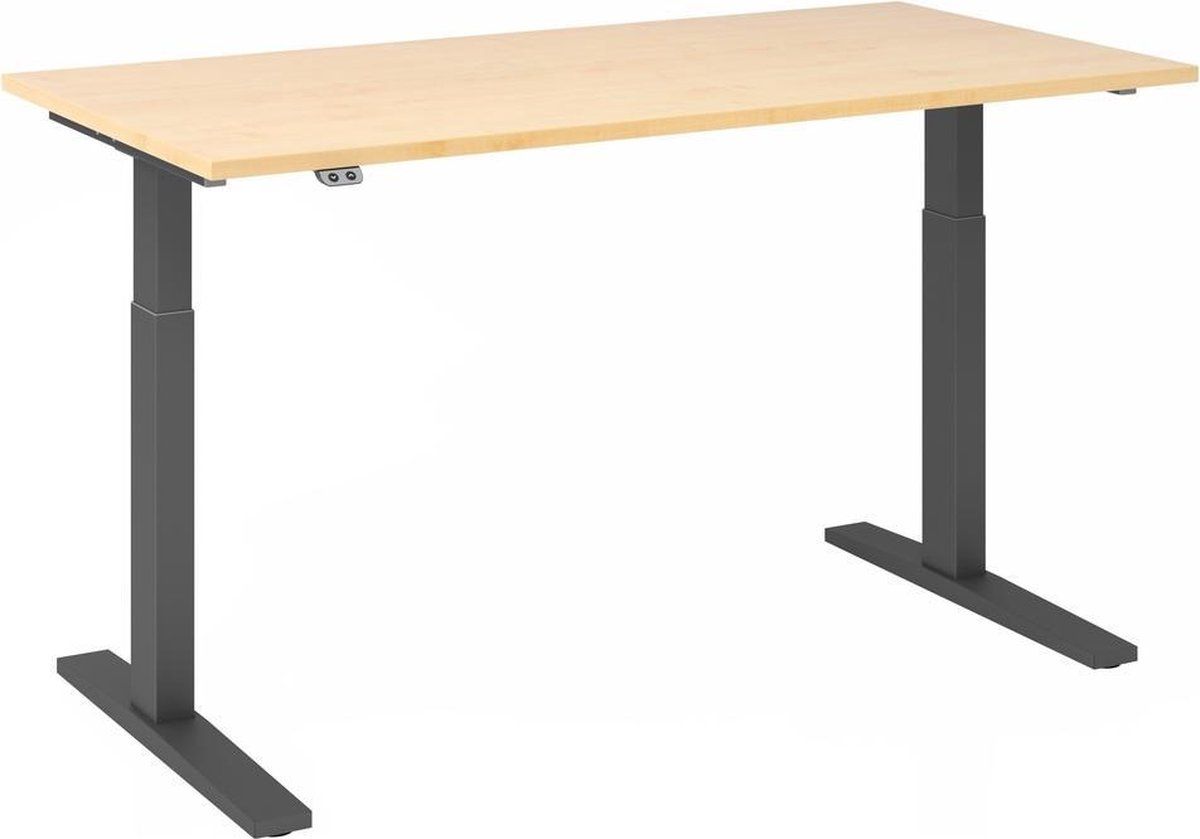 hjh OFFICE PRO Bureau - In Hoogte Verstelbaar - 160x80 - Xmka 16 G