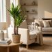 Green boutiQ - Kamerplant - Yucca (Palmlelie) - Yucca Elephantipes - Groen - Weinig onderhoud - 1 Plant - met Mand - Pot 21cm - Hoogte 80 - 95cm