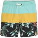 O'Neill Zwemshort Mix & Match Cali Block 15"