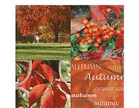 Celdoek servetten "herfst natuur" (inhoud 1)