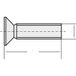 TOOLCRAFT Vis à tête fraisée 889789 M3 20 mm Torx acier inoxydable
