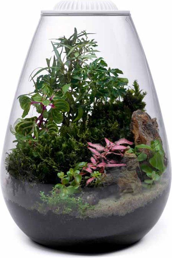 Smulders Wabi Kusa Bio Bowl 200