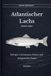 Der Lachs Salmo salar: Biologie, Lebensraum, Schutz und fachgerechte Praxis