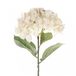 Driesprong Collection Single hydrangea 68 cm cream