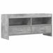 vidaXL TV-kast 100 x 33 x 47 cm Betongrijs Bewerkt hout