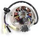 Tecnium Yamaha Jog 50cc Stator Zilver