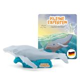 KLE!NE Experts duiken met walvissen
