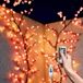 oCreon Kersentak Lichtsnoer - 1,2 m - 48 leds - Kerstboom - Binnen - Kersenbloesem - Afstandsbediening - Timer - Muurkunst