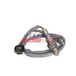 FAST FT12439 Sonde lambda