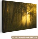 OneMillionCanvasses Canvas Schilderij - Bos - Bomen - Natuur - Zon - 30x20 cm - Woondecoratie - Canvasdoek