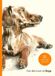 For Laurence King Publishing For the Love of Dogs: 25 Postcards