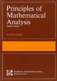 Principles of mathematical analysis: International Edition