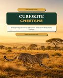 CURIOKITE Cheetahs: 60 Surprising Questions and Answers About God’s Remarkable Cheetahs