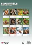 CalendarsRUs Eekhoorn A3 Kalender 2027
