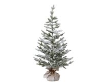 Everlands Mini boom d60h120cm groen/wit