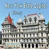 New Libri GmbH New York State Capitol