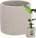 KOTARBAU® Pot de fleurs - Pot de plantes - Pot décoratif - Pot d'intérieur ⌀ 23 cm Pot de fleurs en céramique pour intérieur - 22 cm de haut - Aspect béton - Céramique non vernissée - Mat - Gris