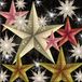 Ambiente Kerst thema servetten - 20 stuks - 33 x 33 cm - Kerststerren print