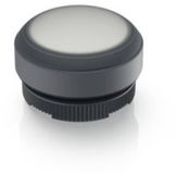 RAFI 1.30.270.005/2201 E-BOX IO-LINK Bouton-poussoir lumineux momentané