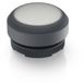 RAFI 1.30.270.005/2201 E-BOX IO-LINK Bouton-poussoir lumineux momentané