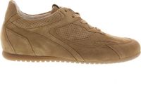 Gabor Dames Sneakers 86.565.35 Cognac