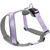 HUNTER Hondentuig NEOPREN, Kleur: lavendel/grijs, Maat: S