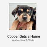 Copper Libri GmbH Copper Gets a Home Paperback
