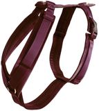 Kentucky Dogwear Harnais pour chien Taille L Bordeaux Velvet Harnais pour chien 38-58 cm
