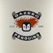 Raudo Gazebo Penguins - Raudo (LP)