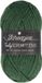 Scheepjes Truly Scrumptious 100gram - 303 Groen Velvet Cake