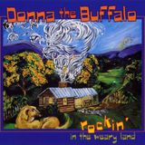 Rockin' Donna The Buffalo Rockin In The Weary Land