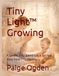 Tiny Light™ Growing: A Gentle, Play-Based Guide for Your Baby from 7–12 Months