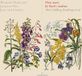 PIAS Nederland Glossa Wilbert Hazelzet, Jacques Ogg, Jaap ter Linden - Flute Music By Bach's Students (Abel, Goldberg, Kirnberger Et Al.) (CD)