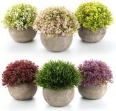 T4U Set van 6 Kleurrijke Kleine Kunstplanten in Pot voor Binnen