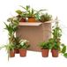 Bloomique - Mix de 12 - Boîte Seconde Chance - Boîte Surprise Durable - Plantes d'intérieur - Hauteur 20-40 cm - Pot 12 cm