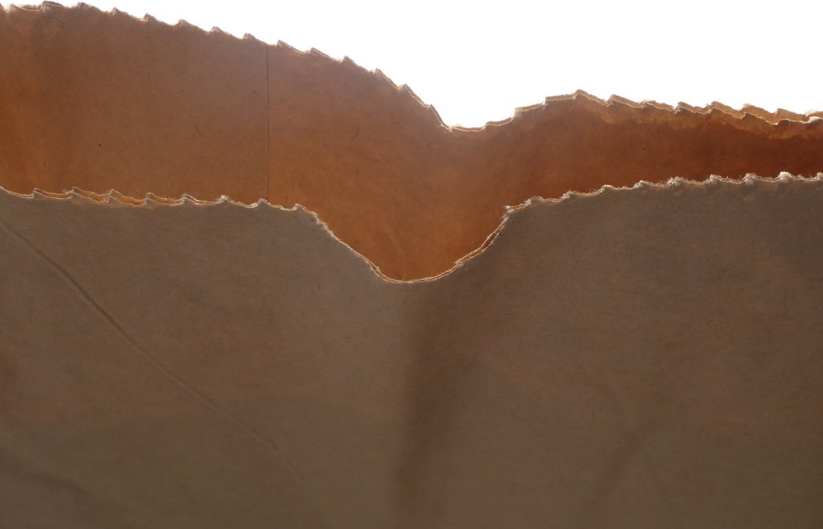 amerigo papieren zak - 110 liter - stevig 2 laags papier
