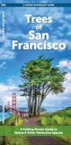 Trees Urban Trees Trees of San Francisco