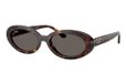 Ray Ban RB2223 Havana Dark Grey Unisex Acetate Oval Sunglasses