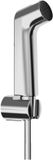 Hansgrohe Bident - handdouche - 1jet - ecosmart - met douchehouder en hogedrukslang - 125 cm - chroom