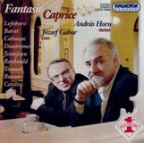 Klarinette- Fantasie Caprice: Concert Pieces for Clarinet CD