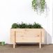 vidaXL Verhoogde Plantenbak 101x50x57 cm Massief Grenenhout Bruin