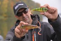Savage Gear Deviator Tail Wobbler 20cm 88g Dirty Roach Glitter
