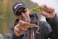 Savage Gear Deviator Tail Wobbler 20cm 88g Dirty Roach Glitter