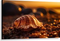 Merkloos / Sans marque Take your time Canvas - Schelp - Strand - Steentjes - Zon - 120x80 cm Foto op Canvas Schilderij