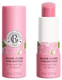 Roger & Gallet Rose Sublimating Lip Balm 3.5 g