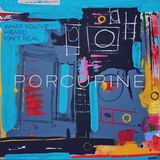 What Porcupine What You've Heard Isn't Real LP