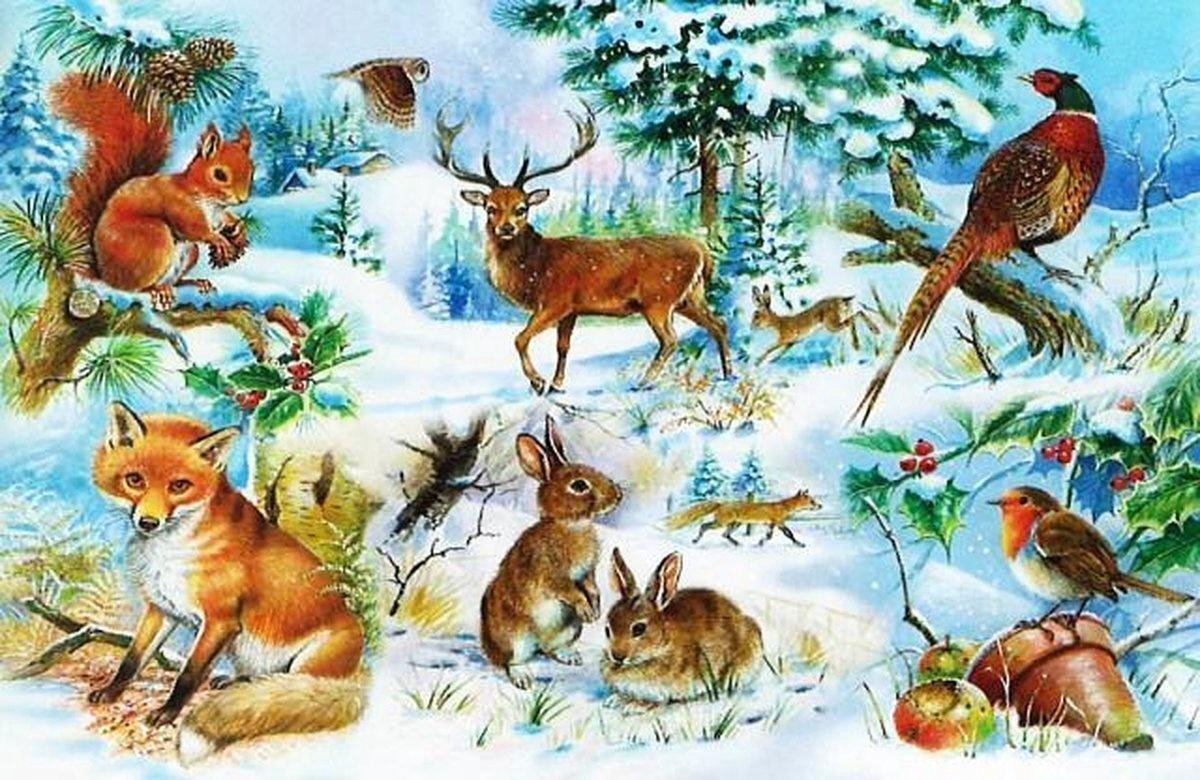 House Of Puzzles Midwinter Puzzel 250 XL stukjes