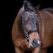 Imperial Riding Athena Gecombineerd hoofdstel met neusriem, anatomisch, Cob, zwart